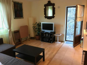 Lovely & Cozy Apartment Sinaia